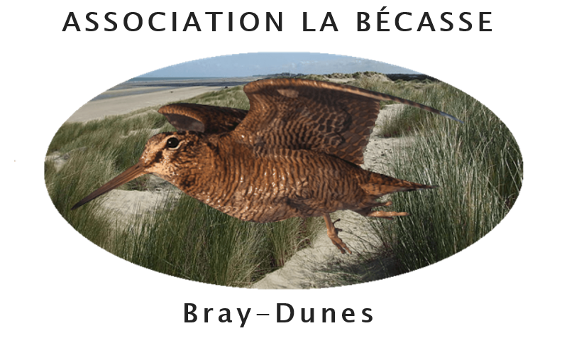 Logo La Bécasse Bray-Dunes